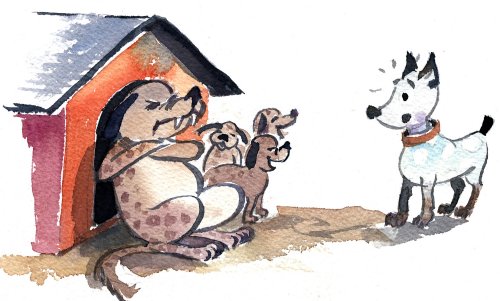 koirat.jpg koirat.jpg