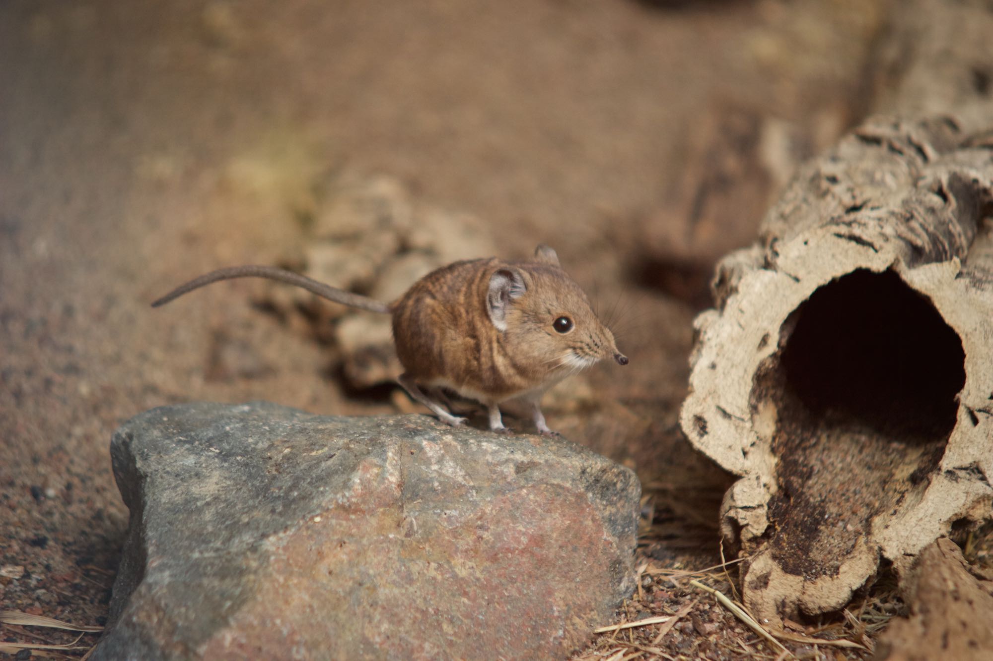 404 Luterilainen.com